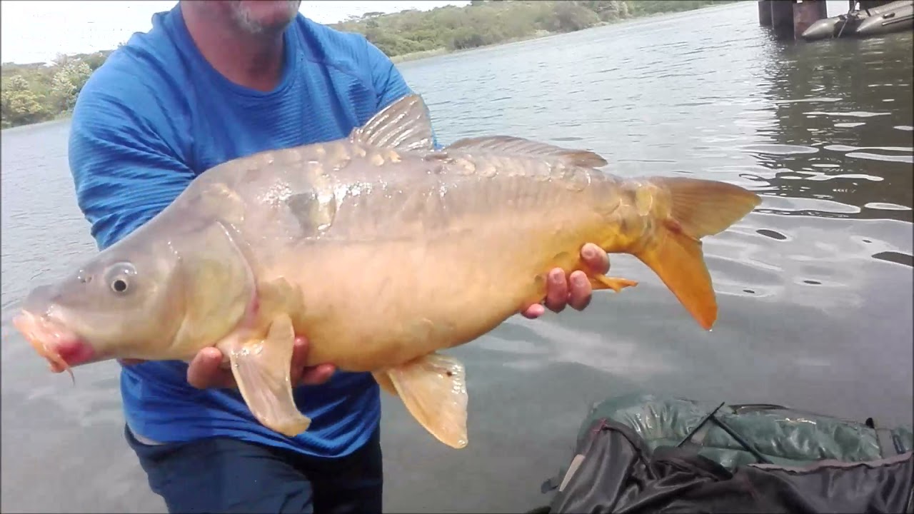 KAPHOM : varswater hengel...albasini dam .. limpopo