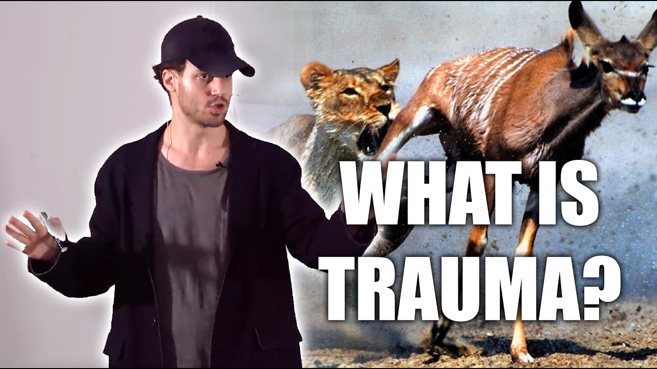 Julien Blanc On Healing Trauma (What Is Trauma, How Does It Happen & What Impact Does It Have On Us)
