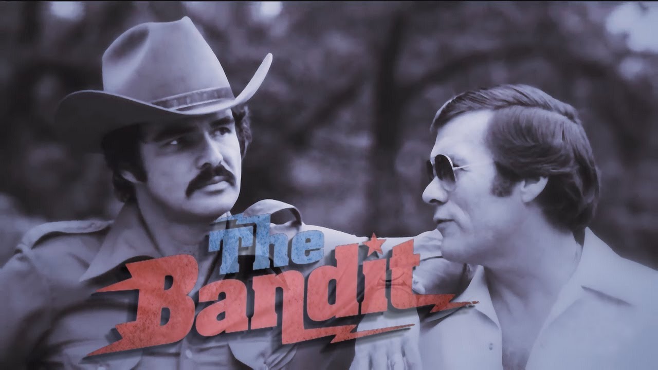The Bandit (2016)