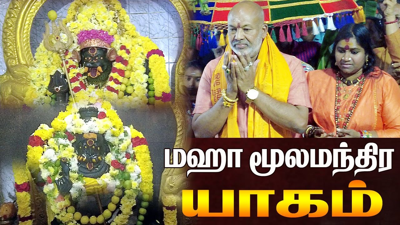 🔥அருள்மிகு சரபேஸ்வரர் அருள்மிகு ப்ரத்யங்கிரா மூலமந்திர யாகம் / சநக்ரான்பாளையம் வேலூர்