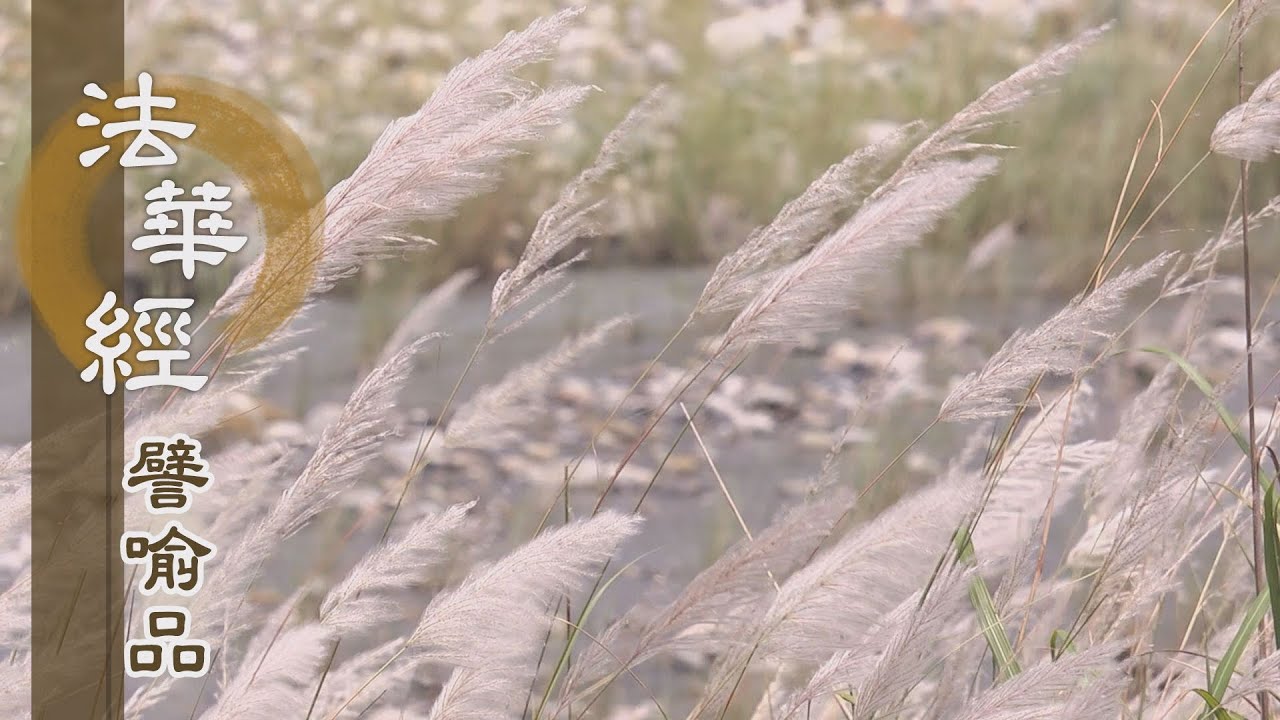 【靜思妙蓮華】法華經譬喻品 - 以權智入真實 - 20201123 第564集