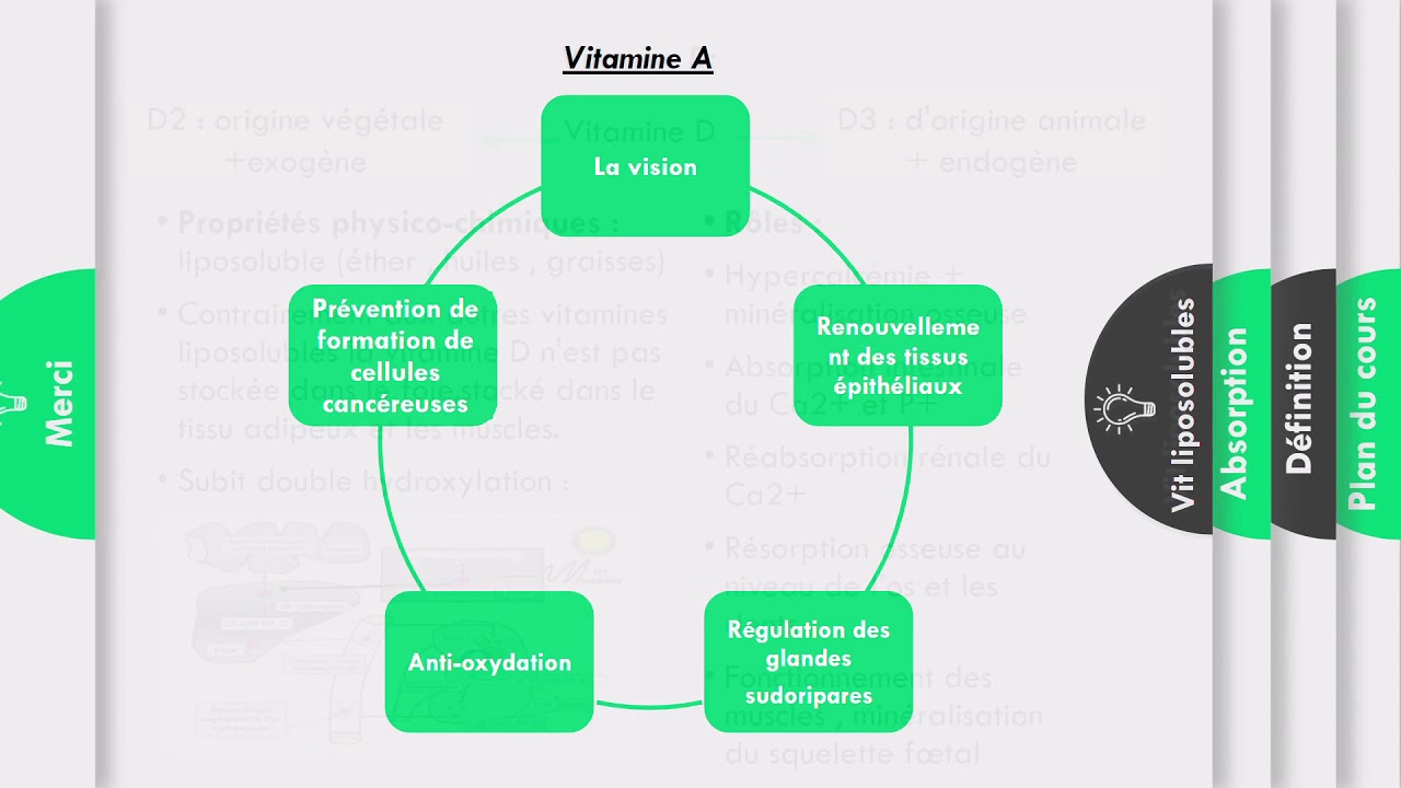 Biochimie :les vitamines (part 1)