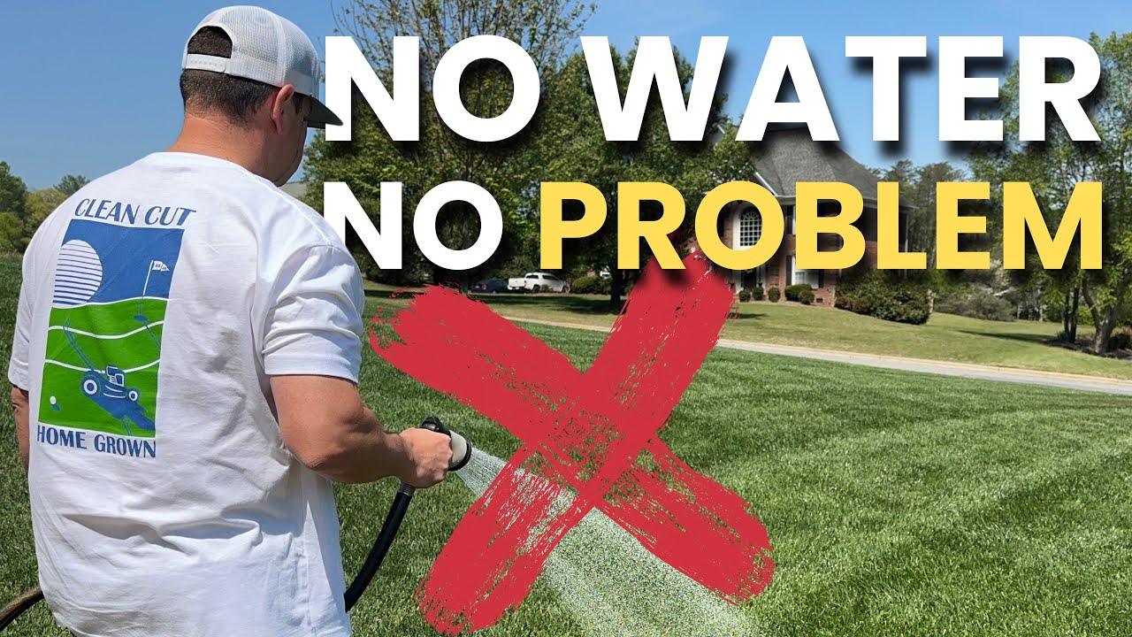 Keep Your Lawn Green ALL Summer WITHOUT Watering