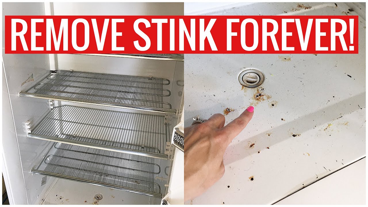 Stinky Fridge or Freezer? How to REMOVE the SMELL for GOOD!! (Cleaning Hacks) | Andrea Jean Cleaning