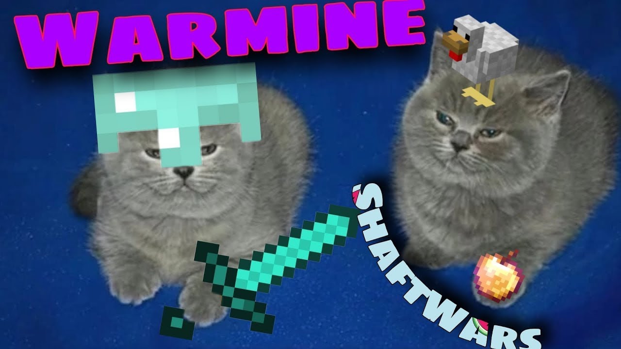 Warmine ShaftWars | Будни mMm