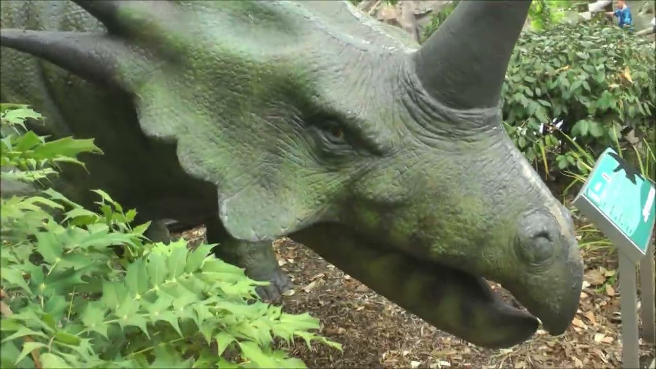 Blackpool Zoo Visit Friday 14th August 2026