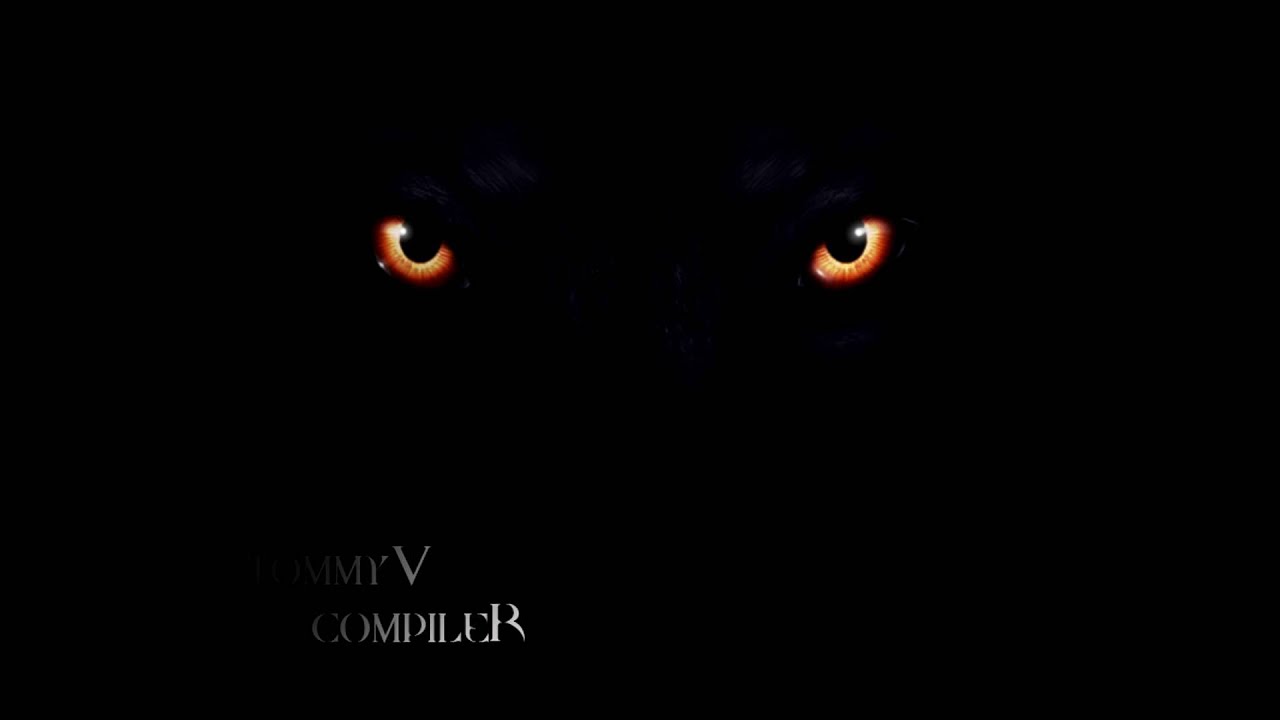 TommyV - Compiler