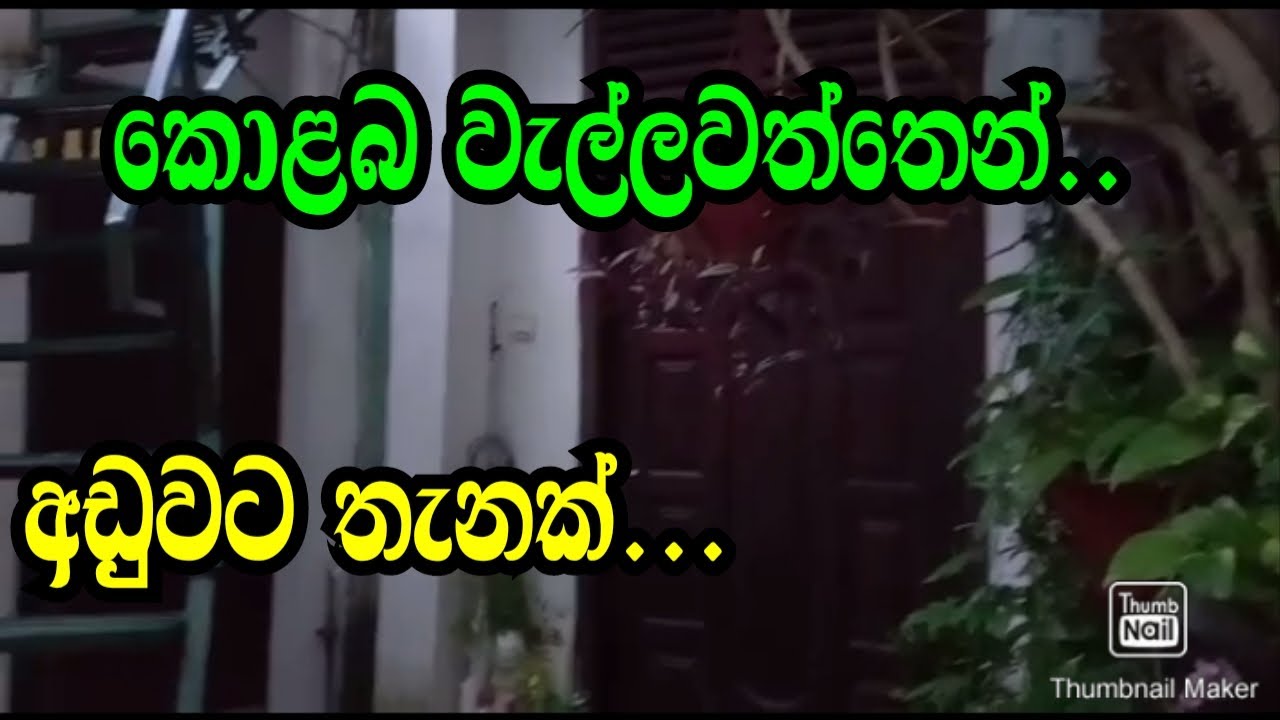 කොළබ වැල්ලවත්තෙන් ..අඩුවට තැනක් ...colombo land sale/colombo house sale/wellawaththa house/podimall