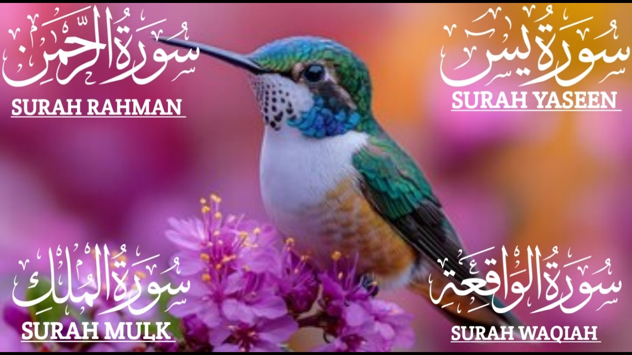 سورة الملك والرحمن والواقعة ويس لجلب الرزق وطرد الشياطين  Yasin💫Rahman✨Mulk💫Waqiah #mindrelaxing