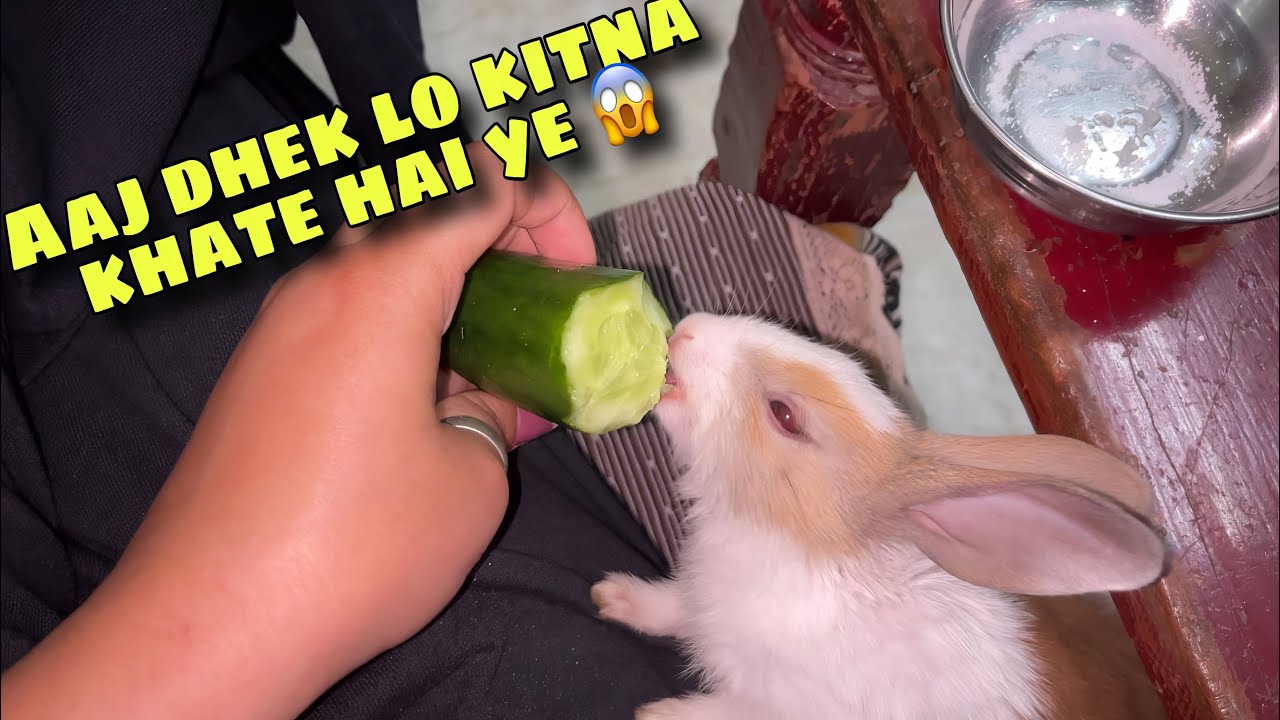 Papa Ki. Har Girlfriend Hai😱 || Mummy Ka Reaction Kya hoga😭