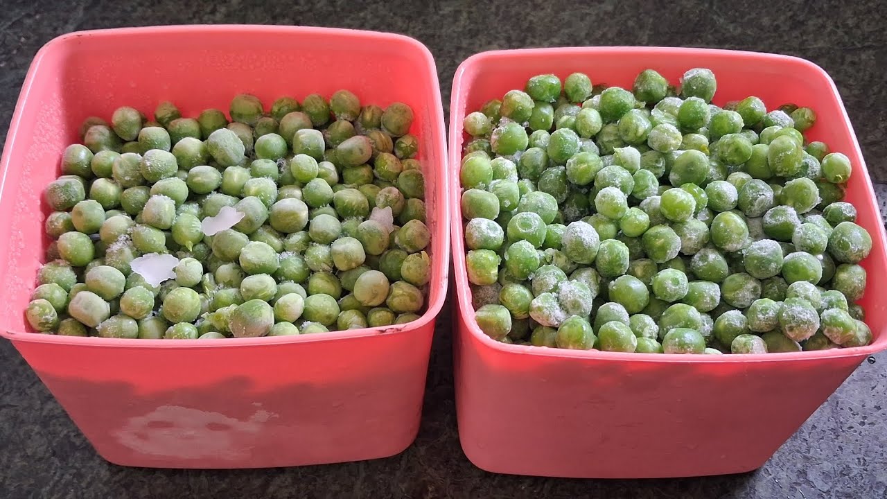 🟢 फ्रोजन मटर बनाने की आसान विधि | Green Peas Freezing Tips | 1 साल तक स्टोर करें | Frozen Mattar
