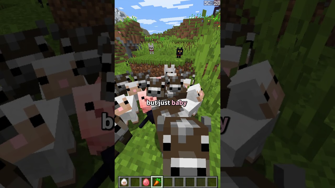 Newest Minecraft update! (snapshot 1.21.12) 26.1  
