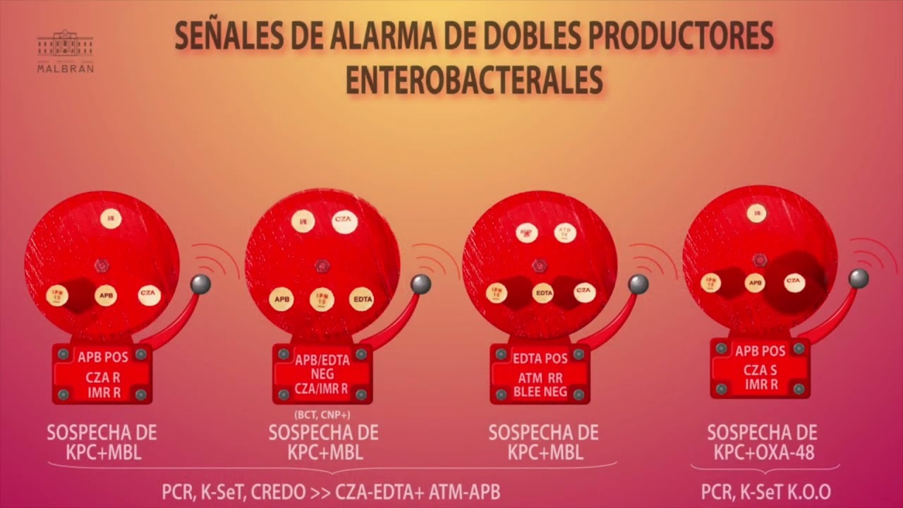 Identificación de Mecanismos de Resistencia - Fernando Pasteran - Jornadas Invera 2023, Parte 3