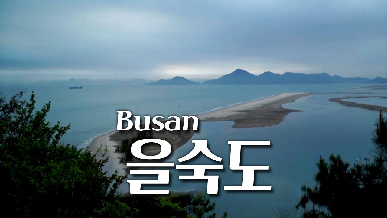 부산에 이렇게 매력적인 곳이 있다고? 추천하는 을숙도 자전거 트레킹! / 낙동강 삼각주 생태여행지 / 아미산전망대 / 부산MBC 행복한 금요일 150424 방송