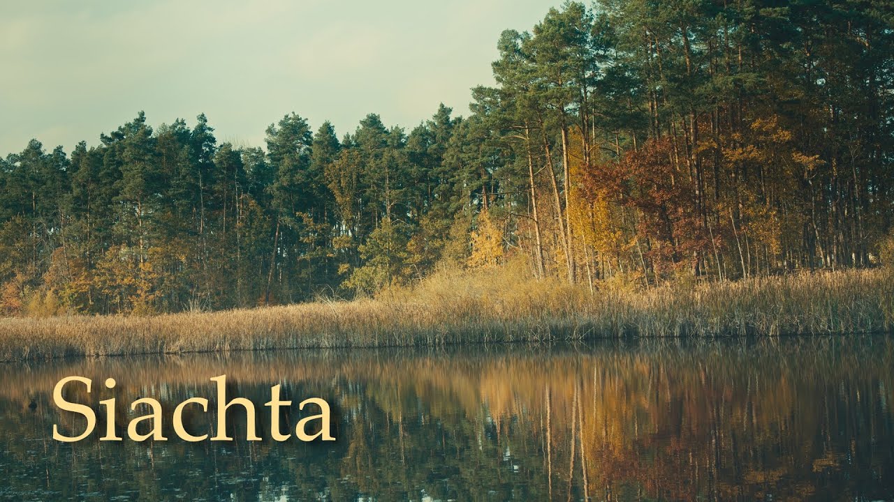 S5IIx BRAW. Siachta - Autumn