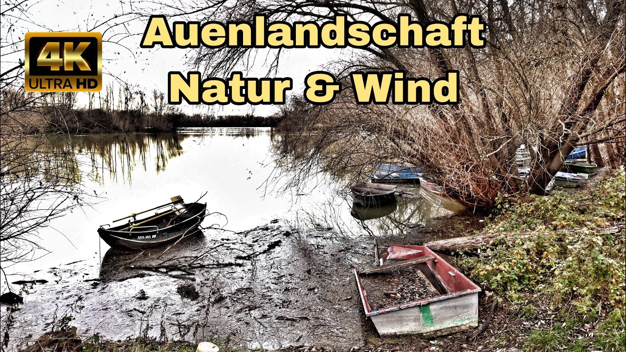 Auenlandschaft | Natur & Wind
