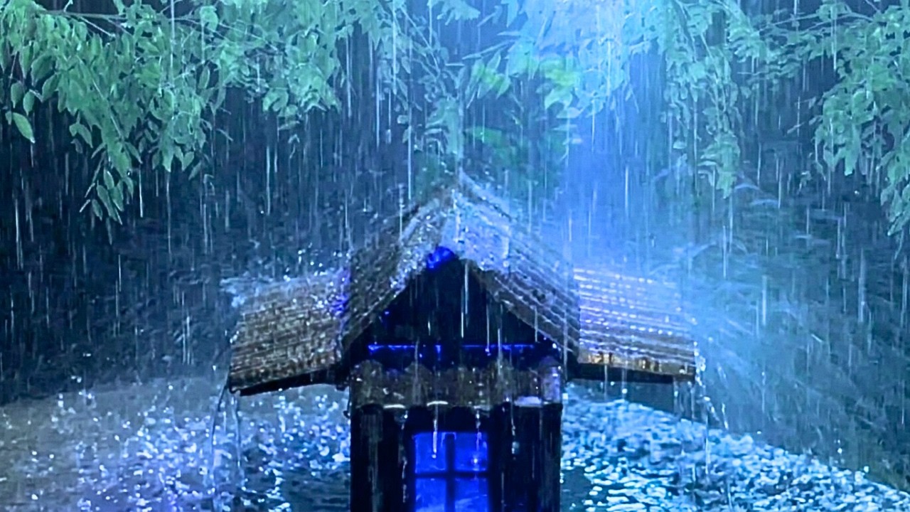 Goodbye Insomnia – Heavy Rain & Thunder on a Tin Roof in the Dark, Misty Forest