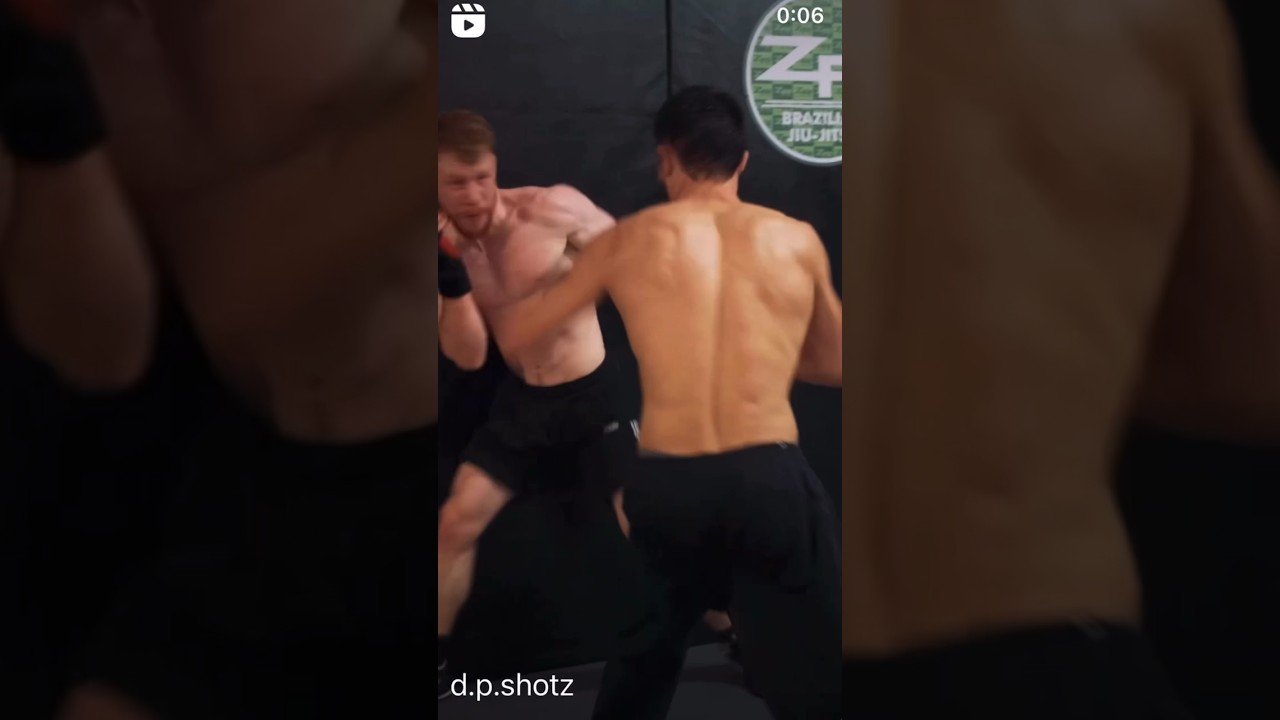 Rule #33 - Fear No Man #mma #ufc #gym #bjj #motivation #sigma #alpha # #training #boxing #muaythai