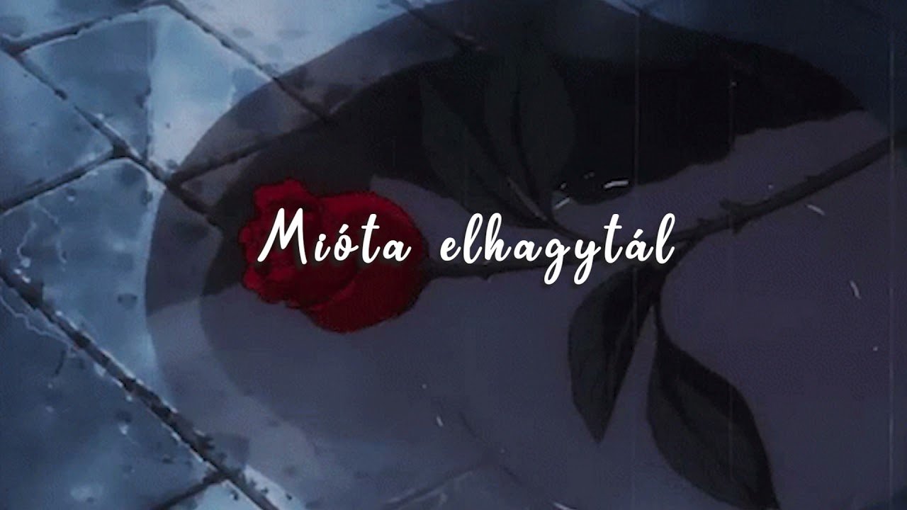 BSW - Mióta elhagytál (slowed&reverb)