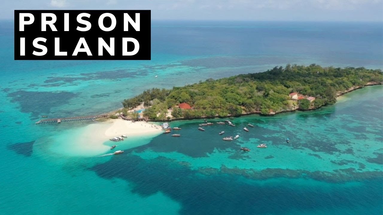 Prison Island, ZANZIBAR Travel Vlog 2019