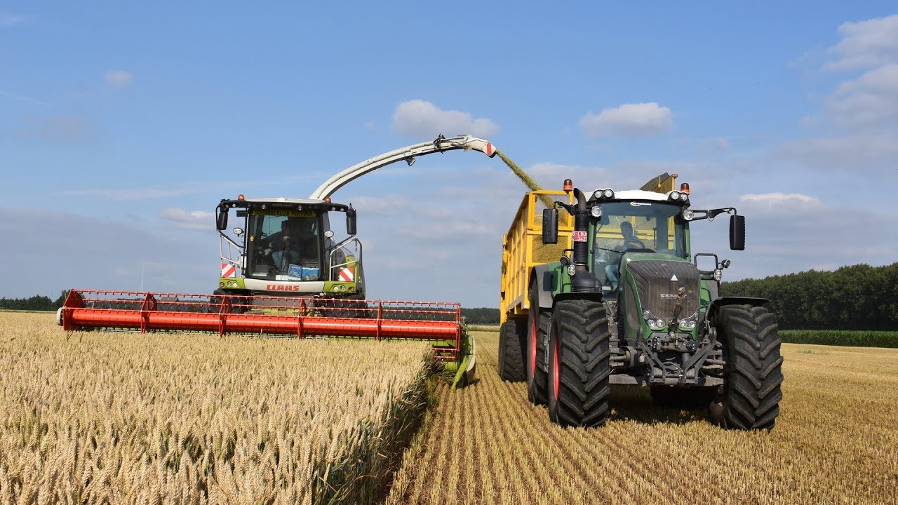 Claas Jaguar 980 & V750 maaibord - Loonw. De Bruyne - GPS hakselen