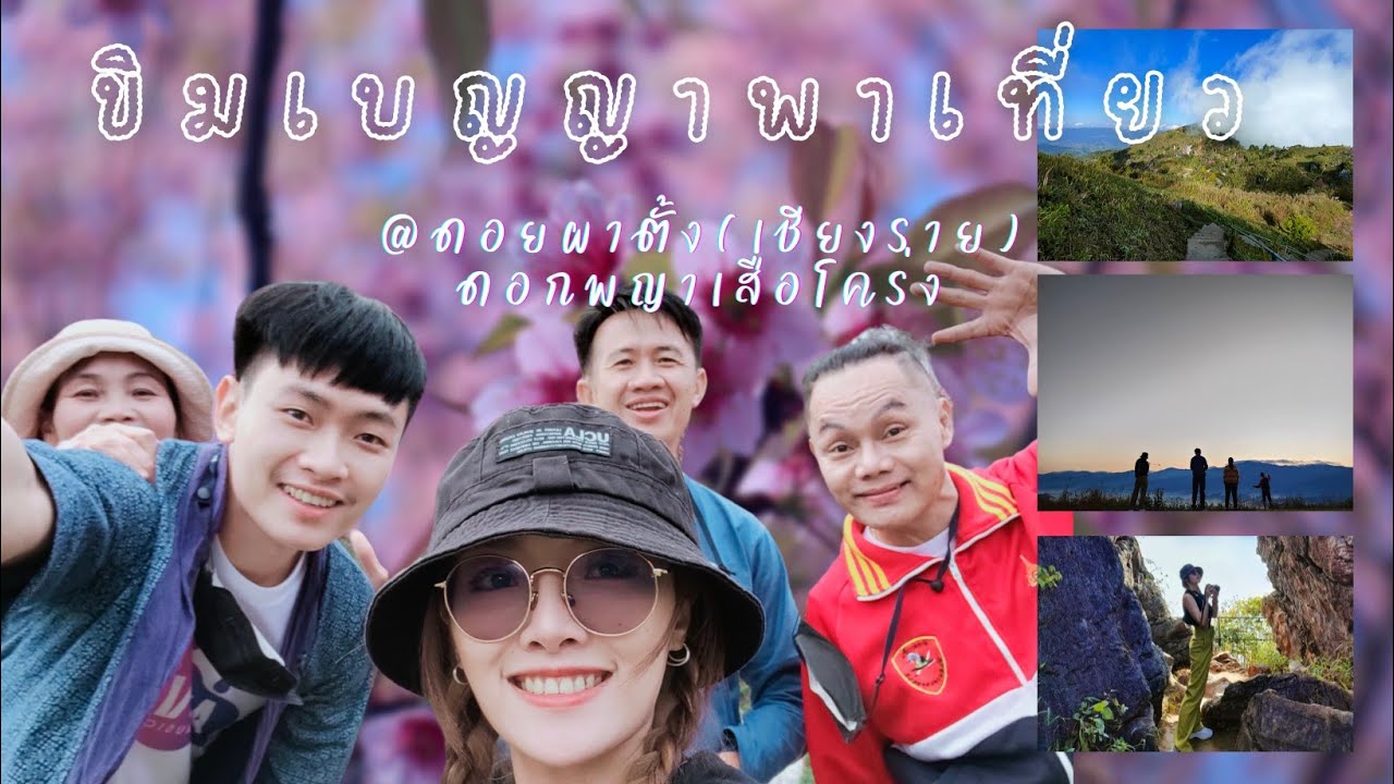 ดอยผาตั้ง ( ดูดอกซากุระเมืองไทย) พญาเสือโคร่ง. @เชียงราย