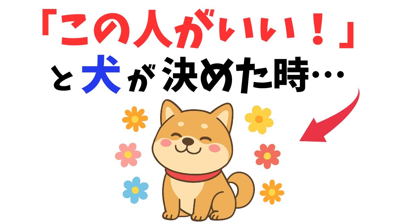 【選ばれてる？】犬が“本命”にだけする行動 13選