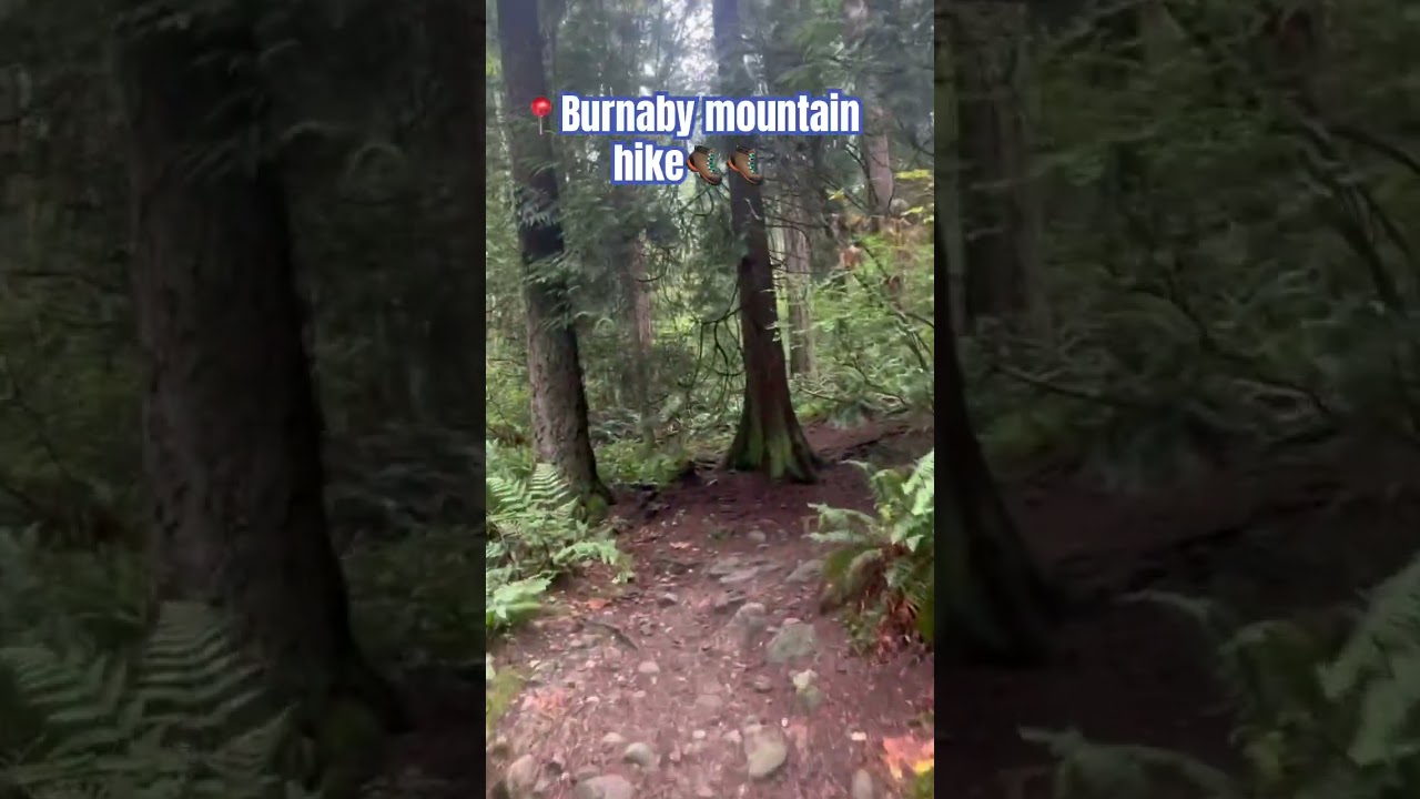 Hike to the SFU via Burnaby mountain north loop    #canada #sfu #burnabymountainpark #hiking #travel