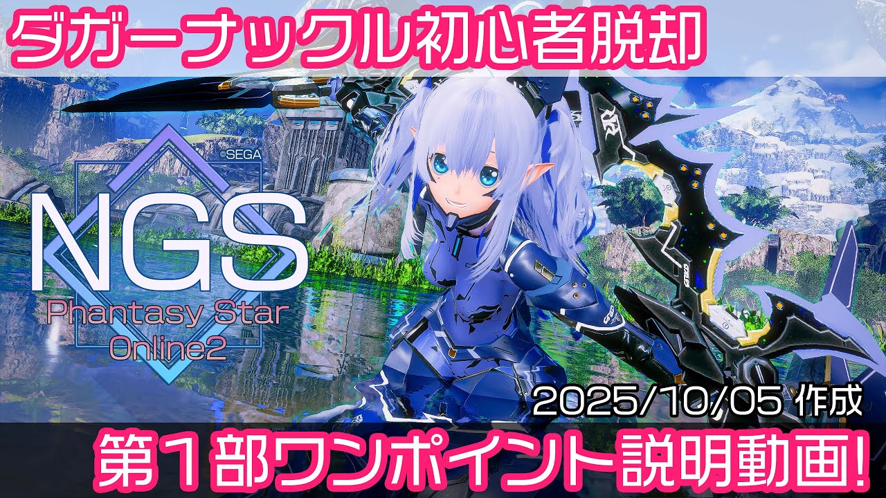 [PSO2:NGS]ダガーナックル初心者脱却ワンポイント説明 第１部（Fi：ファイター）