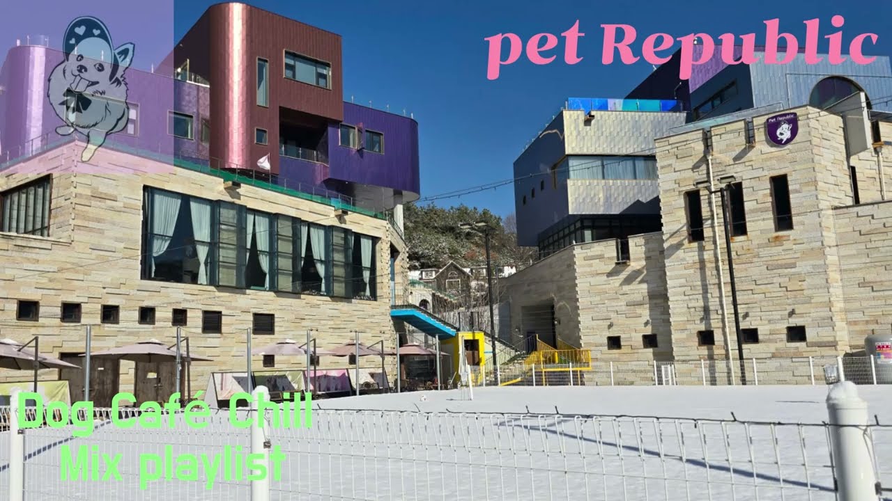 Pet Republic playlist : Dog Hotel Lounge nancy lang pop art 