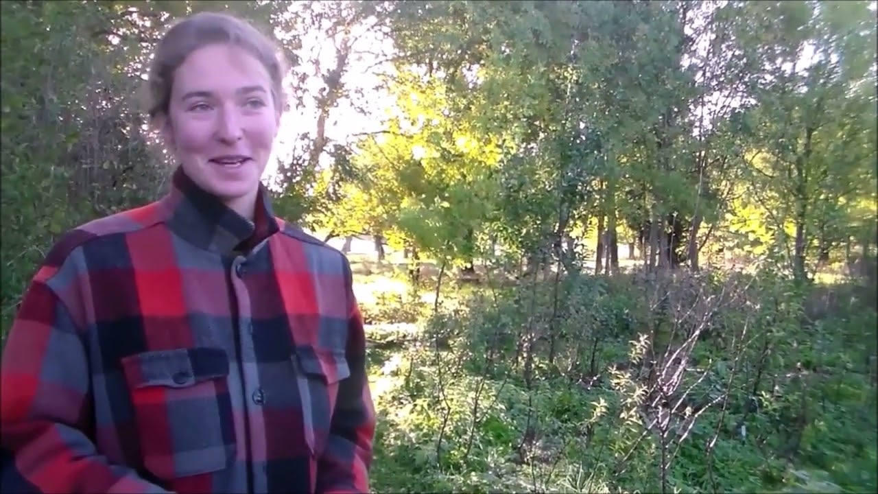 Pépinière "les Herbes Folles", une pépinière qui agit pour la biodiversité