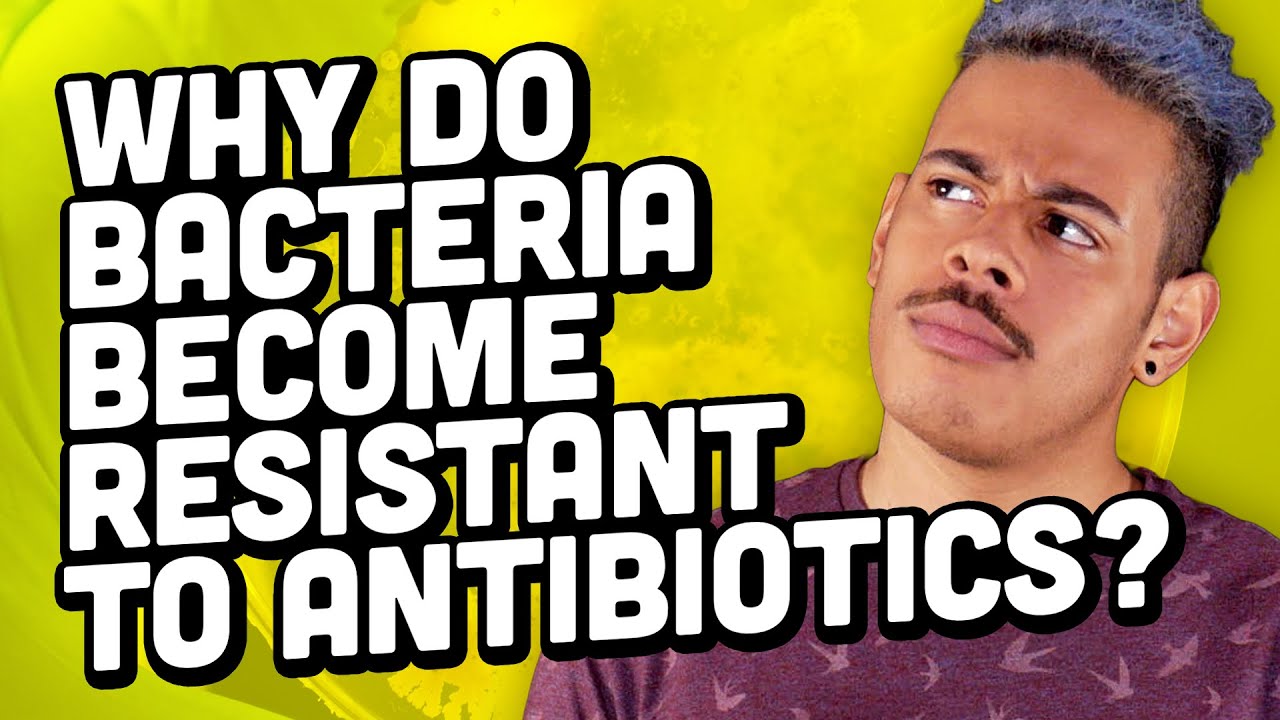 Why Do Bacteria Become Resistant To Antibiotics?