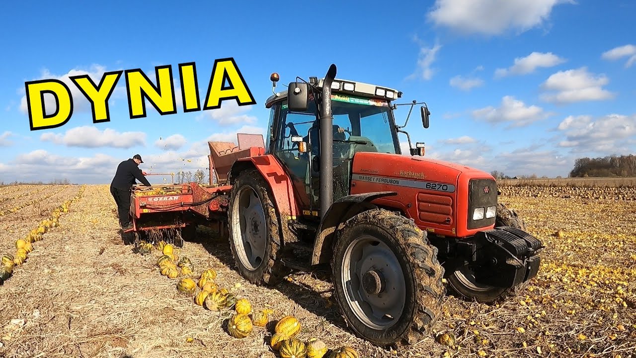 ZBIÓR DYNI I CO DALEJ? |AMAGRO |AgroLovers