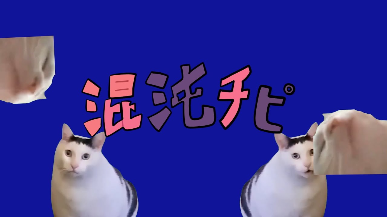 【音mad】混沌チピ（猫ミーム）