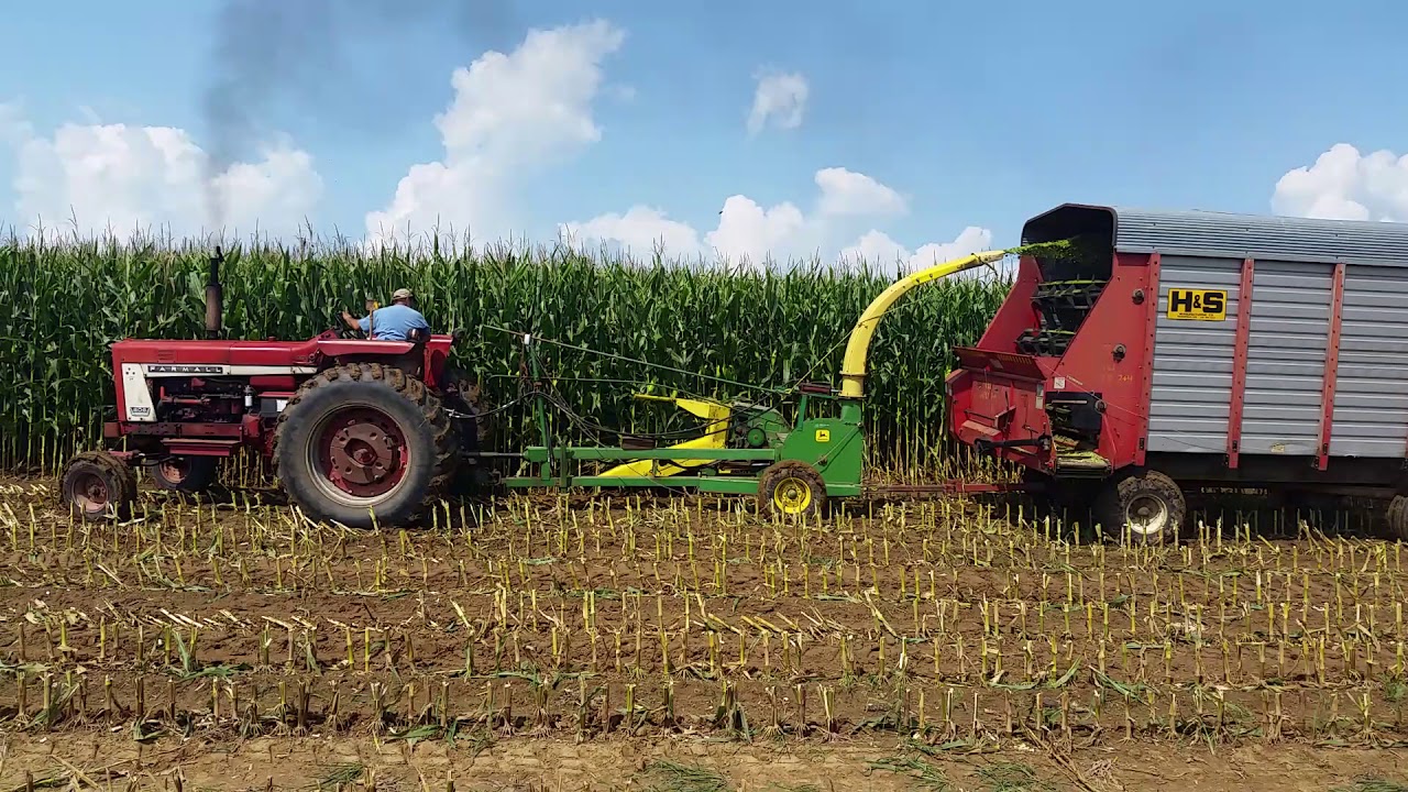 Chopping corn with international 806