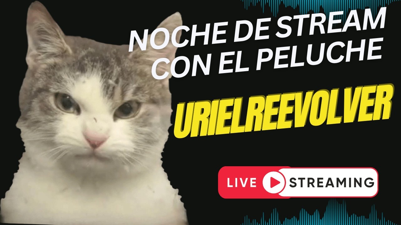 NOCHE DE STREAMSITO MIAOS!!!
