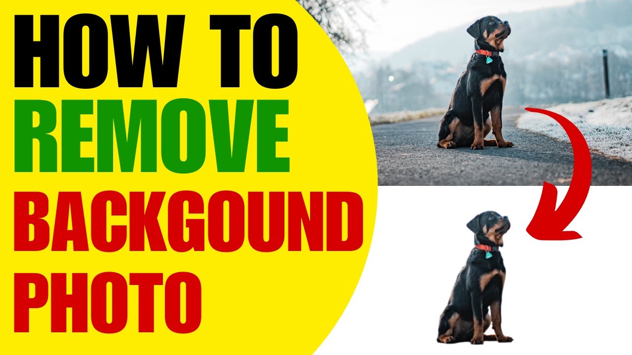 HOW TO REMOVE BACKGROUND FROM PHOTOS IN WINDOWS 11  Easy Step by Step Guide