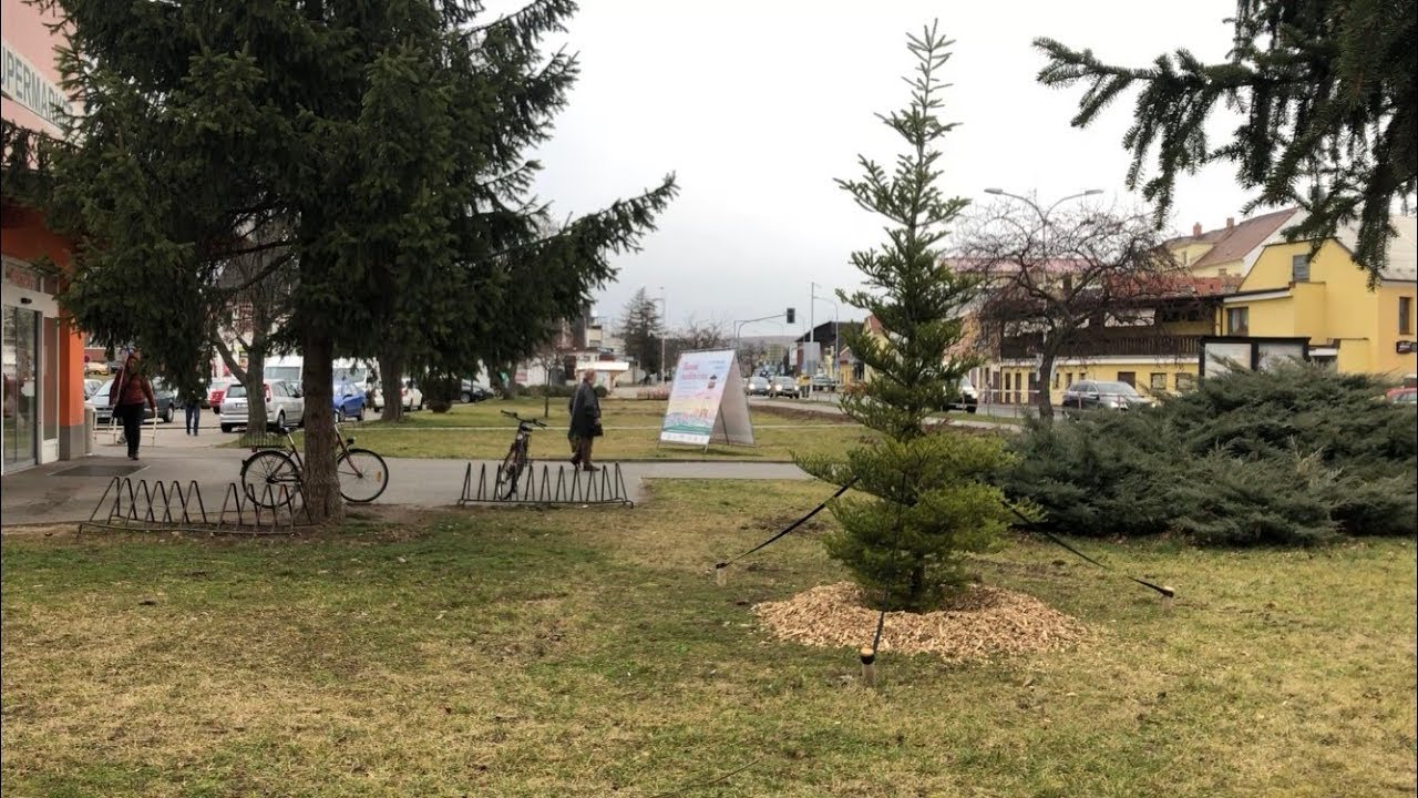 Hustopeče rozkvetou novou zelen&iacute;