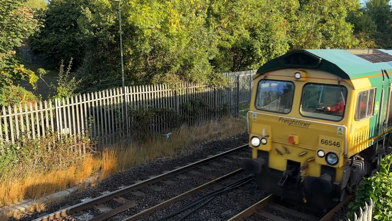Class 66 | 66546 | Freightliner