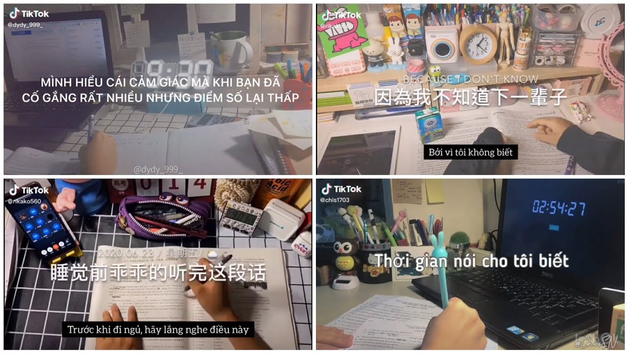 Study Account | Một chút động lực cho mùa hè sôi động #14