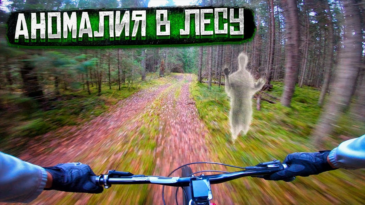 Алоль | Кабаньи поля, заброшенная деревня, плутаем во тьме