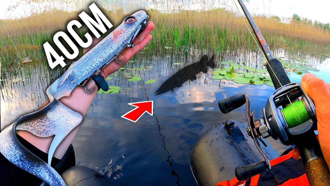 Un Leurre Géant pour Pêcher le Brochet de mes Rêves en Surface ! (Pêche Float-Tube)