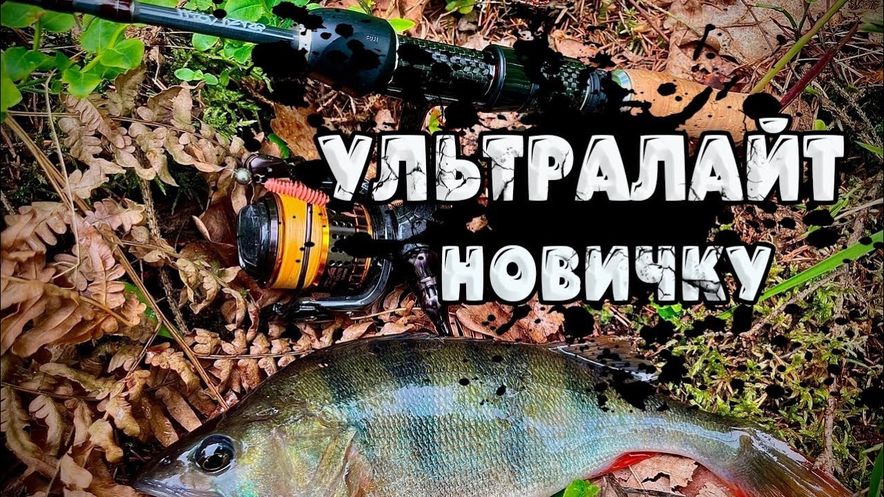 КАК начать ловить на УЛЬТРАЛАЙТ! Советы и ТОНКОСТИ микроджиговой ловли спиннингом