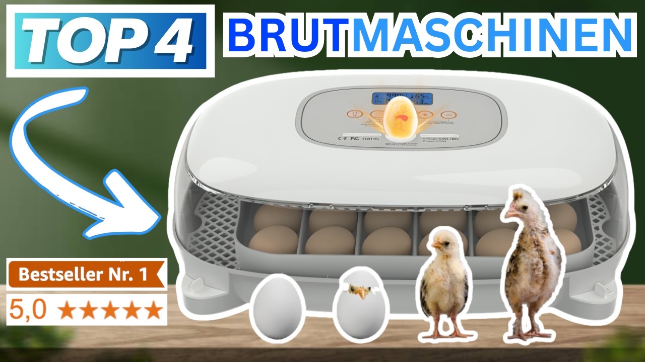 Beste BRUTMASCHINEN (Testsieger 2026) | Top 4 Brutmaschinen Vergleich