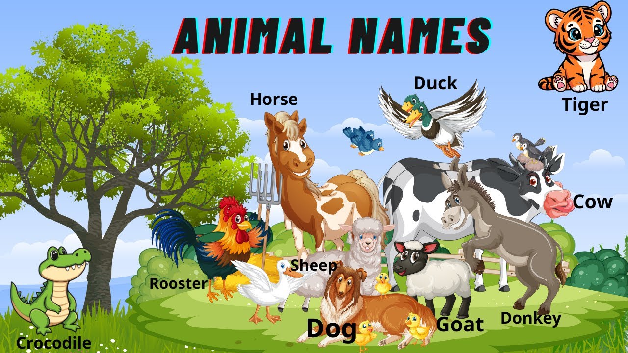 100 Animal Names in English – Easy for Beginners.