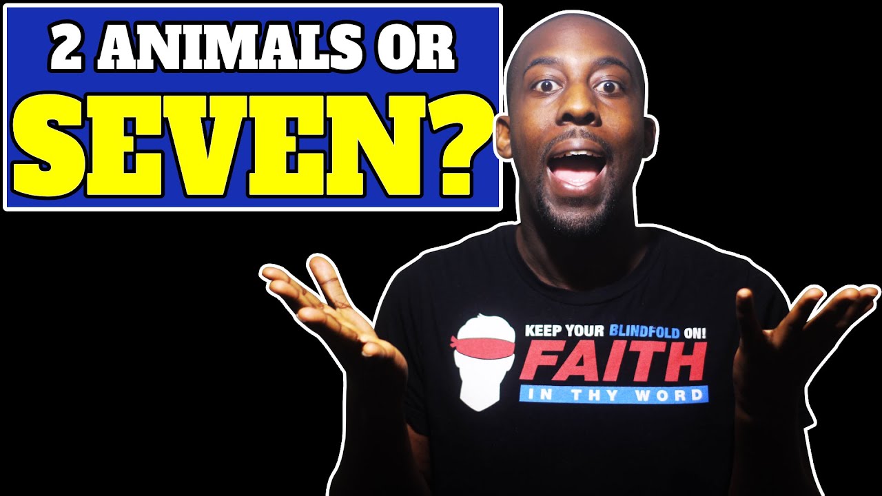 How Many Animals Went into The Ark?