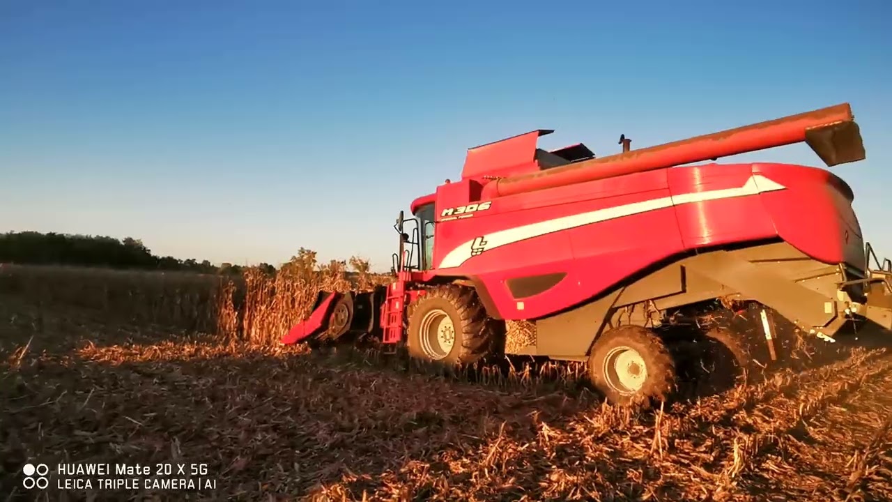 Laverda M306-Geringhoff (Rota Disc) kukorica aratás