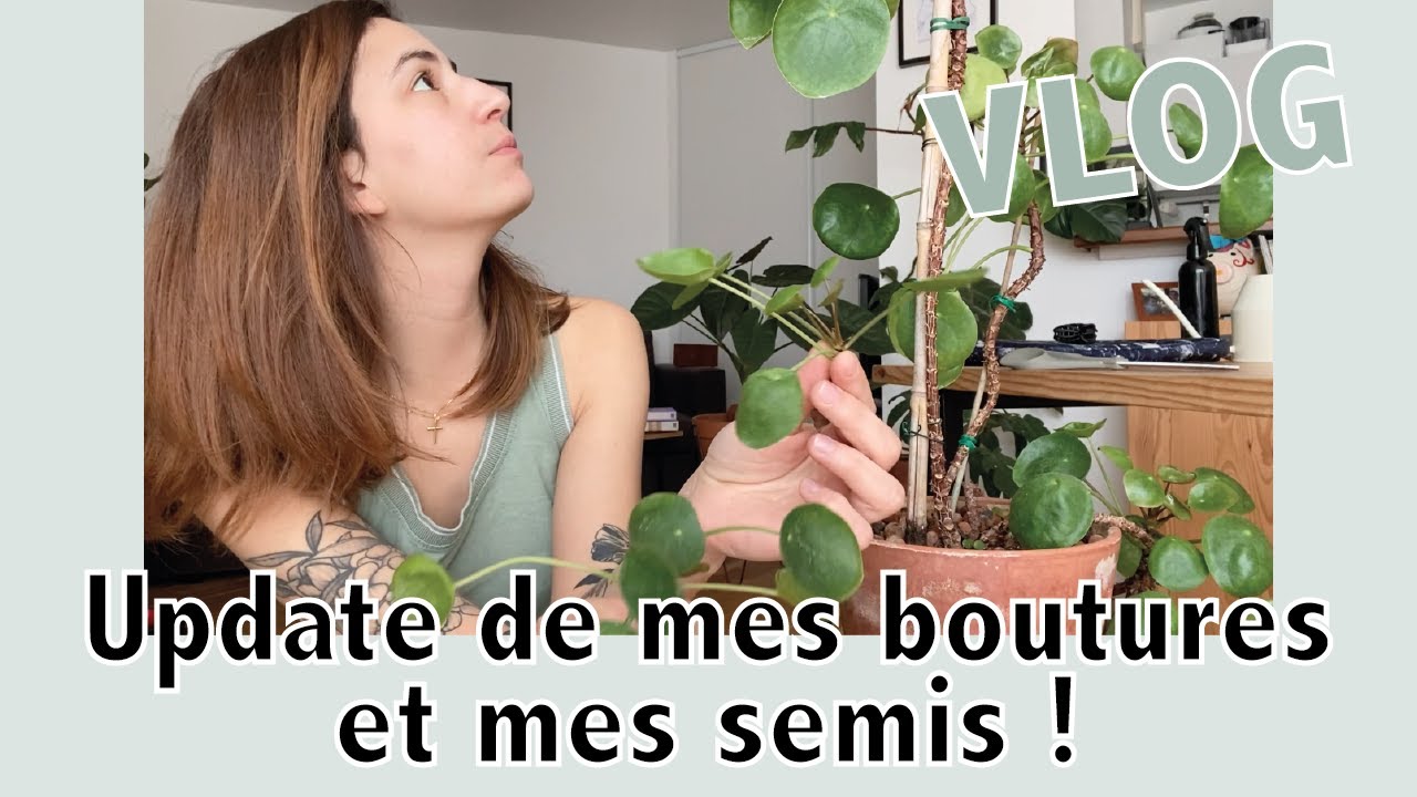 Mes plantes sont en pleine croissance ! | Vlog | Vertbobo