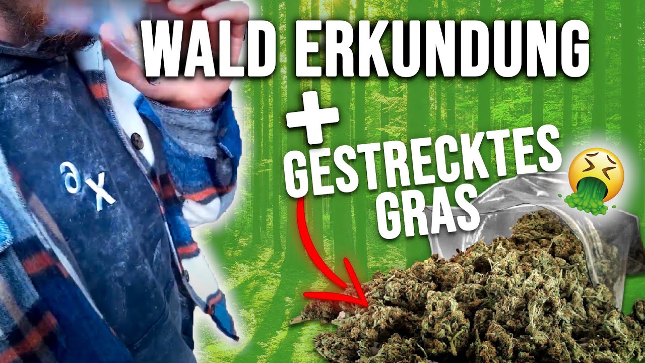 Ich habe GESTRECKTES Gr4s bekommen??😱🤮 | WeedVlog #7 | Weedista