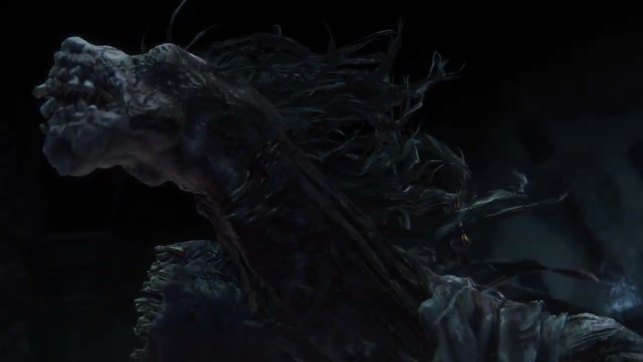 Bloodborne™ Vitgauge Build coop vs Ludwig